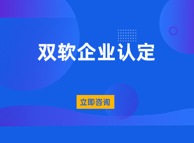 上海双软企业认定